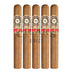 Perdomo 20th Anniversary Connecticut Churchill 5 Pack