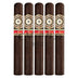 Perdomo 20th Anniversary Maduro Churchill 5 Pack