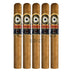 Perdomo Double Aged 12 Year Vintage Connecticut Churchill 5 Pack