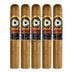 Perdomo Double Aged 12 Year Vintage Connecticut Epicure 5 Pack