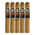 Perdomo Double Aged 12 Year Vintage Connecticut Gordo Extra 5 Pack
