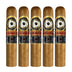 Perdomo Double Aged 12 Year Vintage Connecticut Robusto 5 Pack