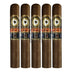 Perdomo Double Aged 12 Year Vintage Sungrown Epicure 5 Pack