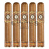 Perdomo Habano Bourbon Barrel Aged Connecticut Gordo 5 Pack
