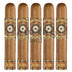 Perdomo Habano Bourbon Barrel Aged Connecticut Robusto 5 Pack