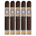 Perdomo Habano Bourbon Barrel Aged Maduro Epicure 5 Pack