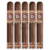 Perdomo Habano Bourbon Barrel Aged Sungrown Epicure 5 Pack