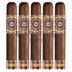 Perdomo Habano Bourbon Barrel Aged Sungrown Gordo 5 Pack