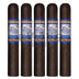 Perdomo Lot 23 Maduro Robusto 5 Pack