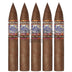 Perdomo Lot 23 Sungrown Belicoso 5 Pack