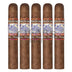 Perdomo Lot 23 Sungrown Robusto 5 Pack