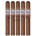 Perdomo Lot 23 Sungrown Toro 5 Pack