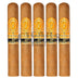 Perdomo Reserve 10th Anniversary Champagne Super Toro 5 Pack