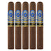 Perdomo Reserve 10th Anniversary Maduro Epicure 5 Pack