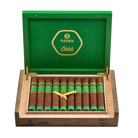 Plasencia Ehtefal Qatar 2022 Toro L.E.