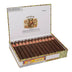 Punch Deluxe Chateau L Maduro Open Box