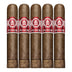 Punch Egg Roll Spring Roll 5 Pack