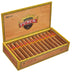 Punch Gran Puro Rancho Robusto Open Box
