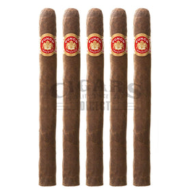 Punch Original After Dinner Maduro 5 Pack