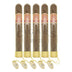 Punch Rare Corojo Crystale Tubo 5 Pack