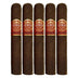 Punch Rare Corojo Gusto Tubo 5 Pack