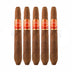 Punch Rare Corojo Limited Edition Aristocrat 5 Pack
