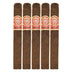 Punch Rare Corojo Elites 5 Pack