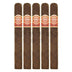Punch Rare Corojo Pita 5 Pack