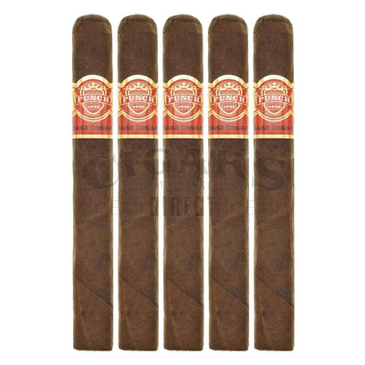 Punch Rare Corojo Pita 5 Pack