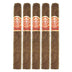 Punch Rare Corojo Rapido 5 Pack