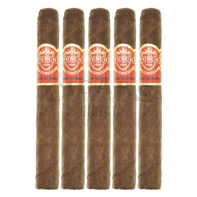 Punch Rare Corojo Rapido 5 Pack