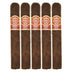 Punch Rare Corojo Magnum 5 Pack