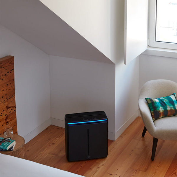 Rabbit Air A3 Ultra Quiet Air Purifier