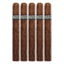 Rocky Patel Broadleaf Toro 5 Pack