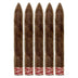 Rocky Patel The Edge Sumatra Torpedo 5 Pack