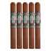 Rocky Patel Flor de San Andres Black Toro 5 Pack