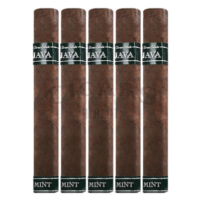 Rocky Patel Java Mint Robusto 5 Pack