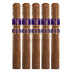 Rocky Patel Royal Vintage Sixty 5 Pack