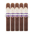 Rocky Patel Special Edition Robusto 5 Pack