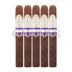 Rocky Patel Special Edition Toro 5Pack