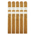 Rocky Patel Vintage 1999 Connecticut Toro 5 Pack