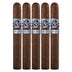 Rocky Patel Winter Collection Corona 5 Pack