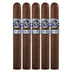 Rocky Patel Winter Collection Corona 5 Pack