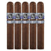 Rocky Patel Winter Collection Sixty 5 Pack