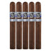 Rocky Patel Winter Collection Toro 5 Pack