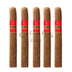 Rocky Patel Sun Grown Toro 5 Pack