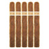 Roma Craft Aquitaine Anthropology 5 Pack