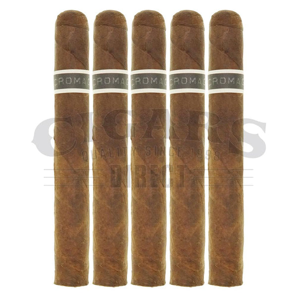 Roma Craft Cromagnon Anthropology 5 Pack