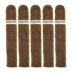 Roma Craft Intemperance BA XXI Breach of the Peace 5 Pack