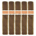 Roma Craft Neanderthal HoxD 5 Pack